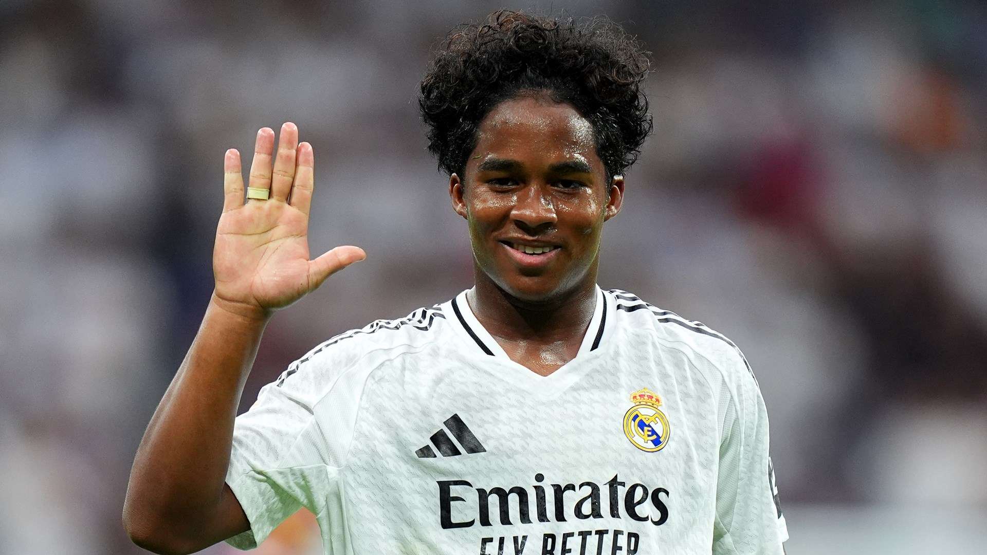 荷兰和智利 荷兰和智利